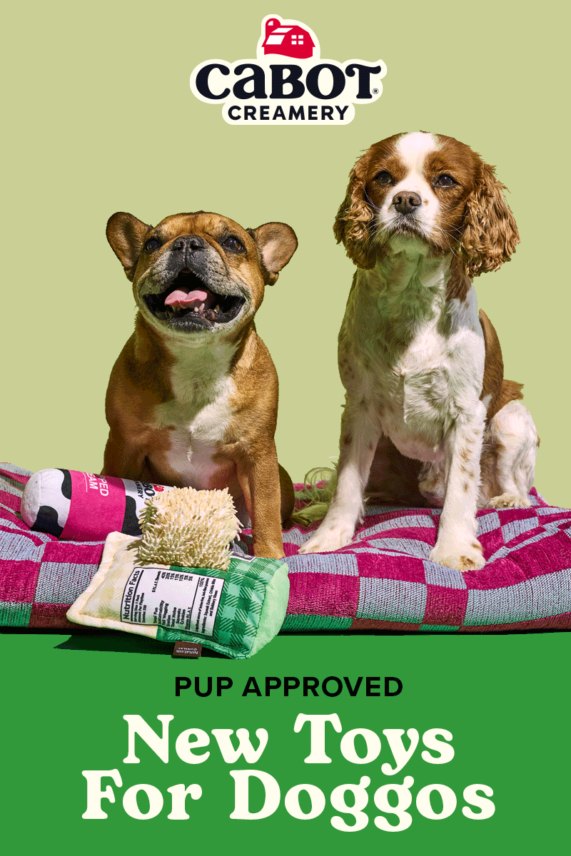 Shop New Dog Toys