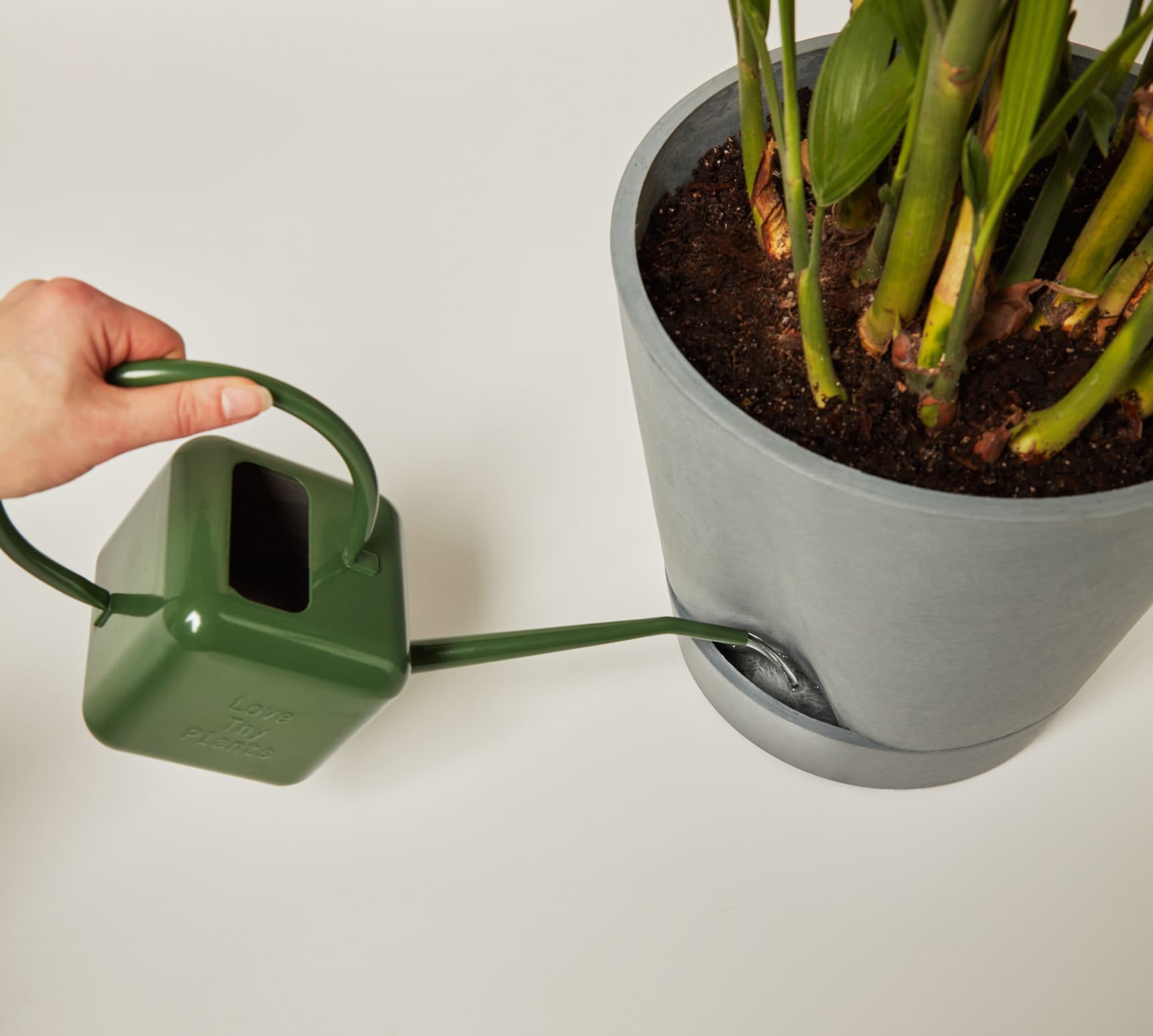 SELF-WATERING POT DEMO