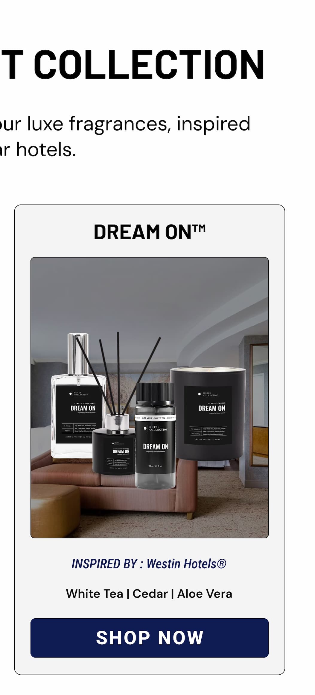 DREAM ON | SHOP NOW