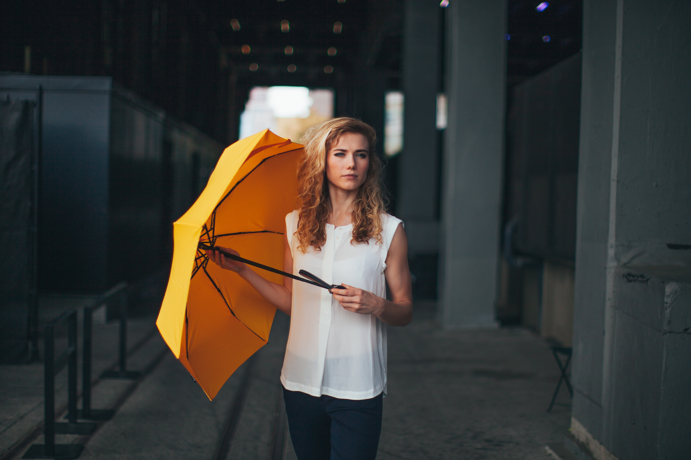 Davek Umbrellas