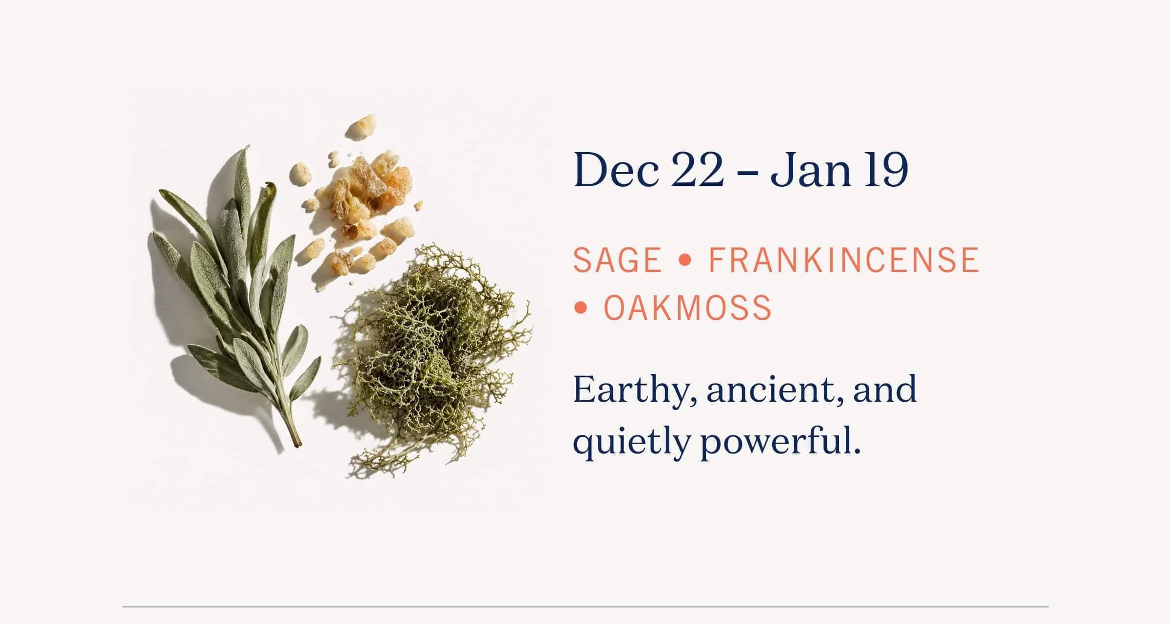 Dec 22 – Jan 19