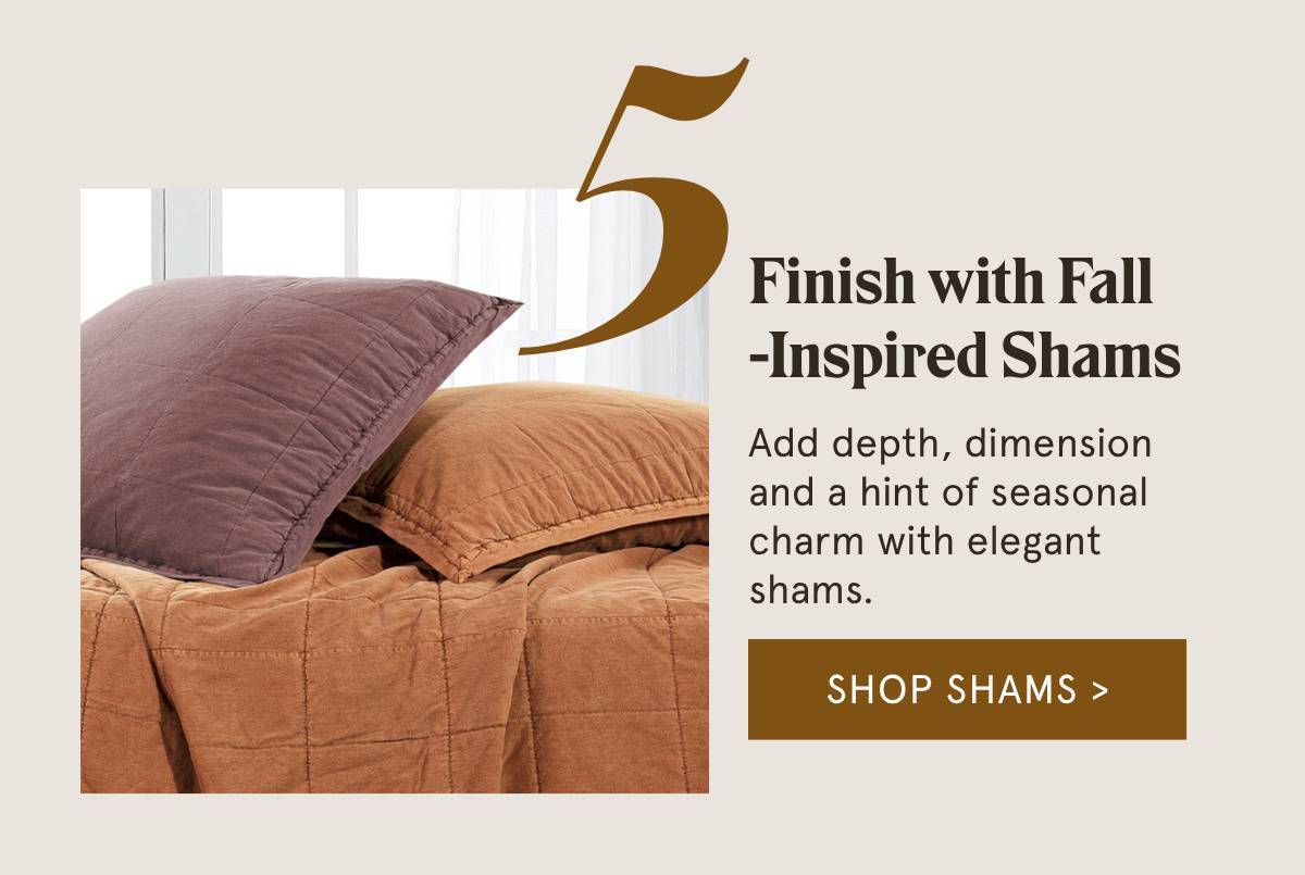 Shop Shams