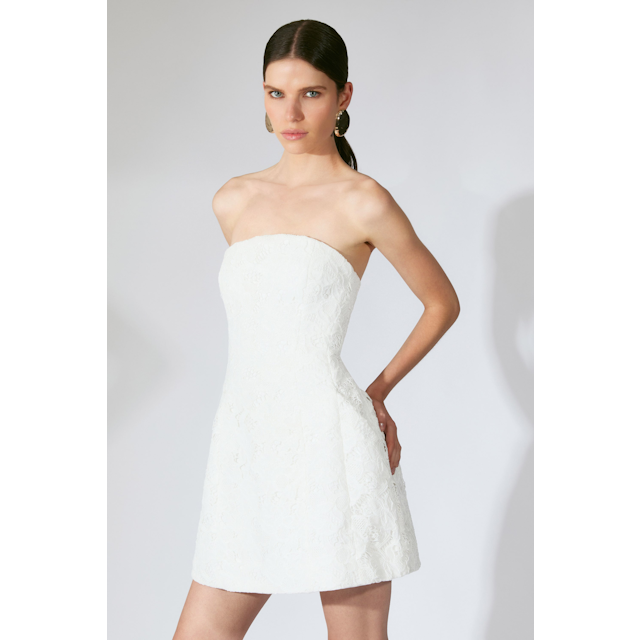 Karoline Lace Mini Dress