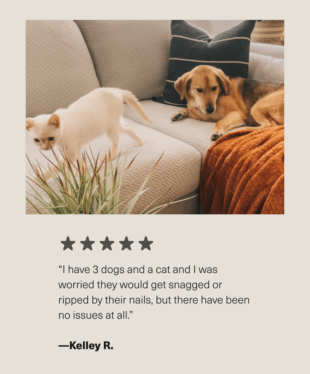 “I have 3 dogs and a cat and I was worried they would get snagged or ripped by their nails, but there have been no issues at all.”  —Kelley R.