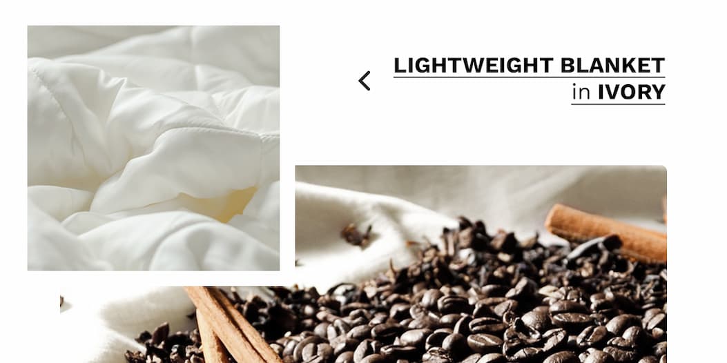 Shop Ivory Lightweight Blanket