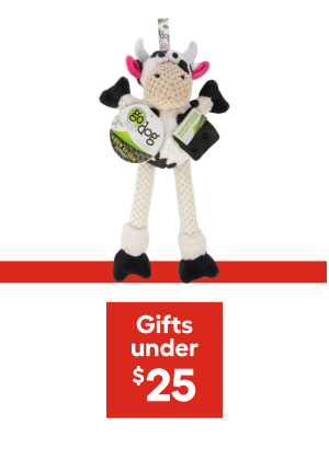 Gifts under $25