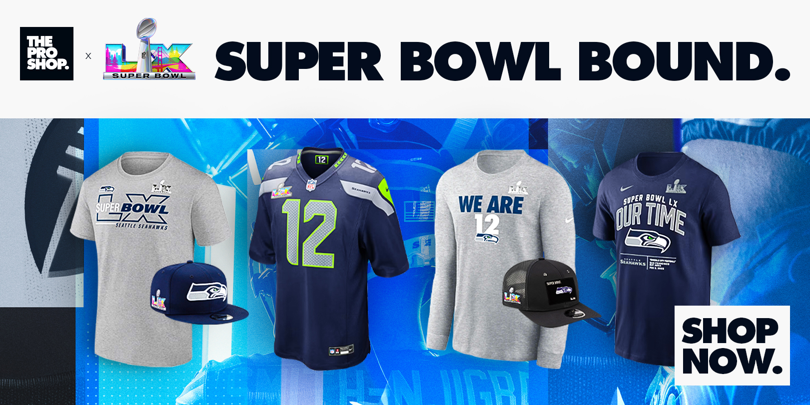 Super Bowl Gear