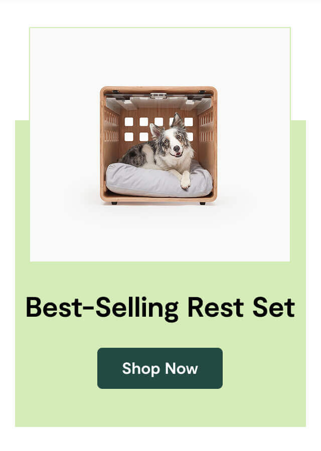 Best-Selling Rest Set