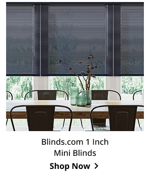 Blinds.com 1 Inch Mini Blinds | Shop Now >