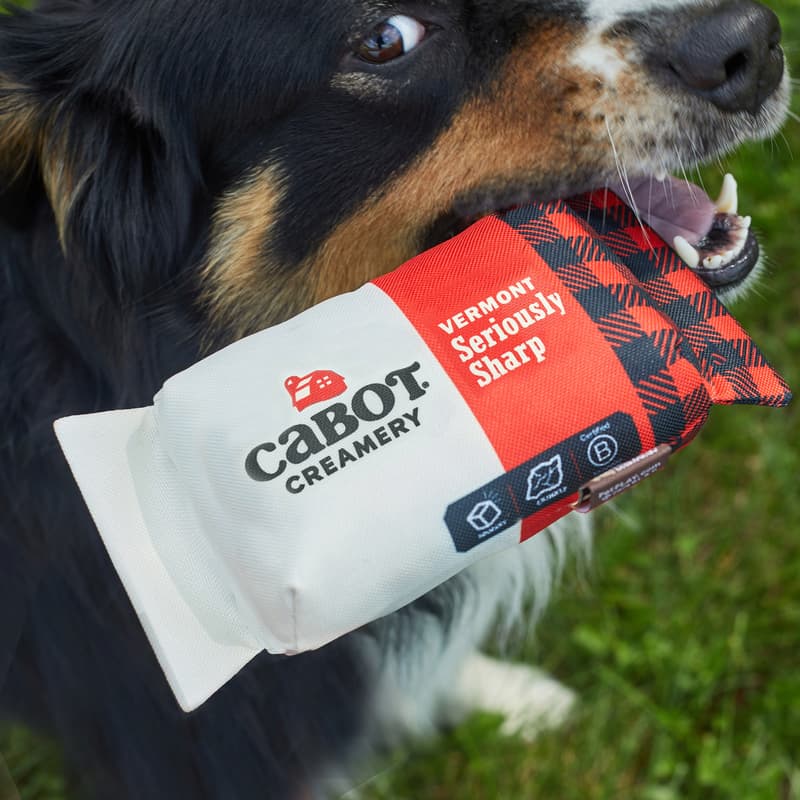Shop the Seriously Sharp Squeaker