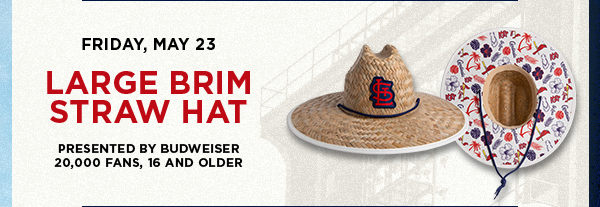 Large Brim Straw Hat