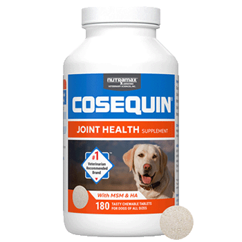 Nutramax Cosequin Joint Health Supplement for Dogs with MSM and HA