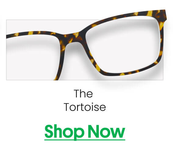 The Tortoise | Shop Now