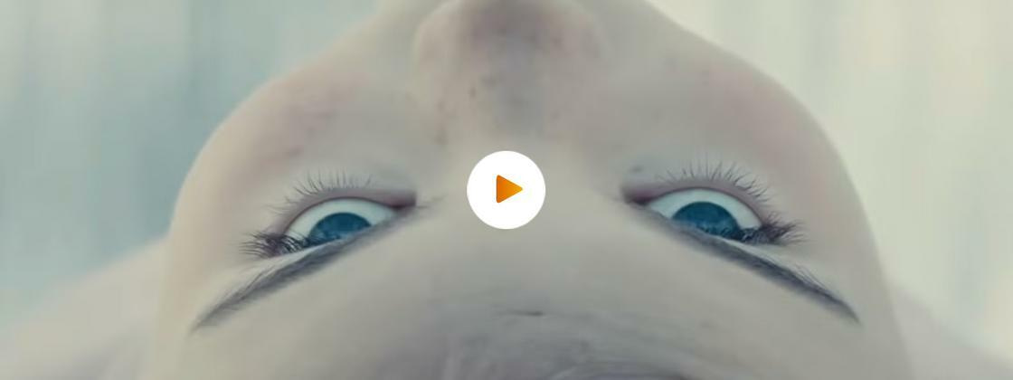 Disclosure Day