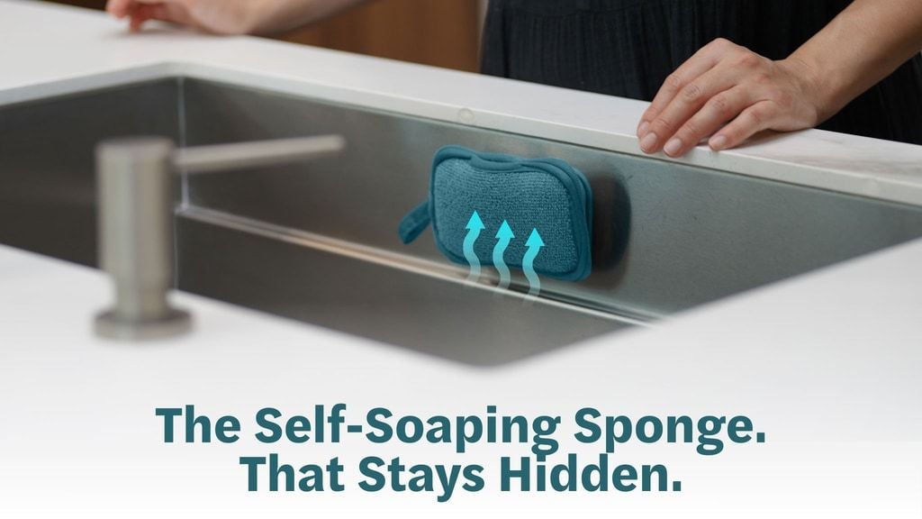 Levity: The Smarter Sponge