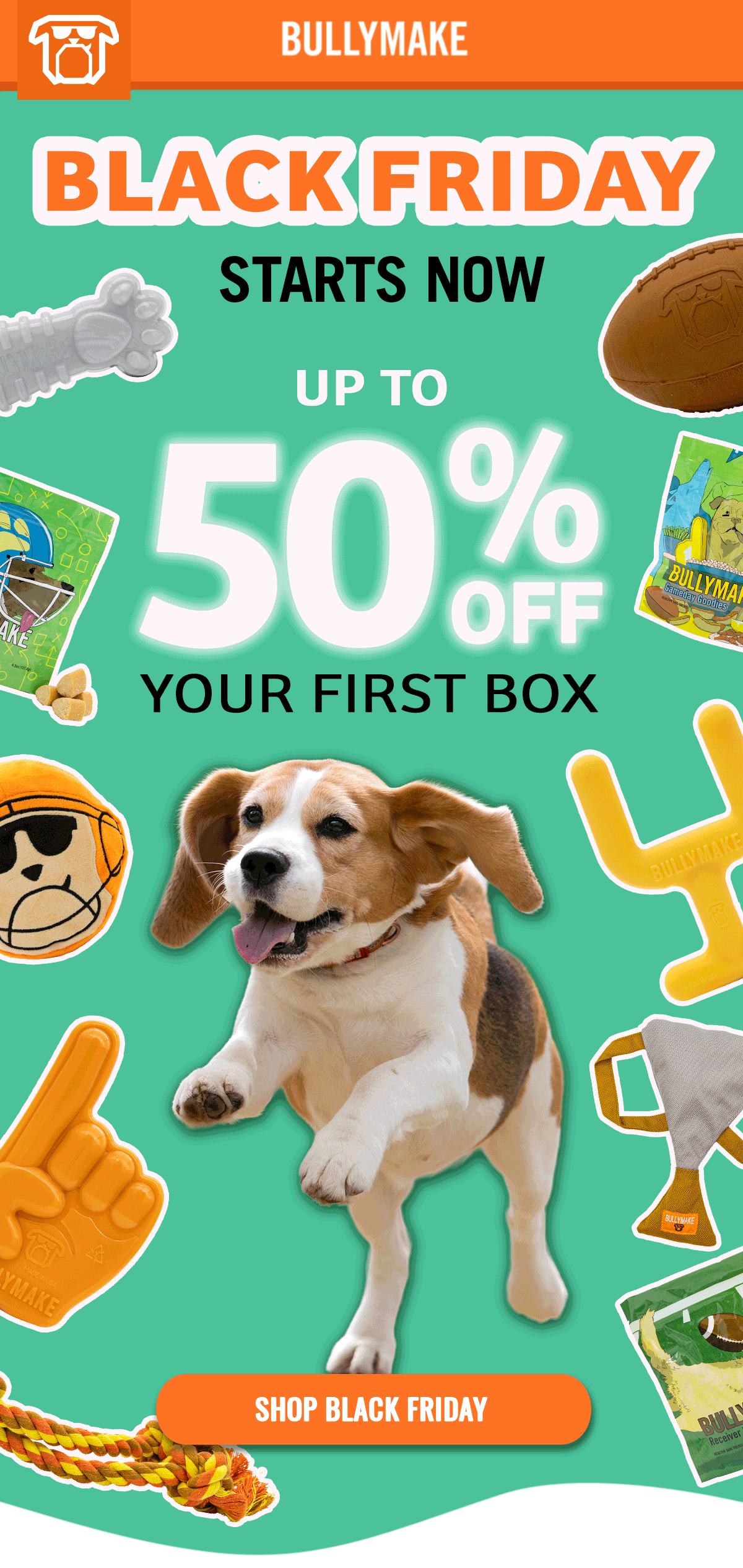 Bullymake Dog Toy Subscription Box