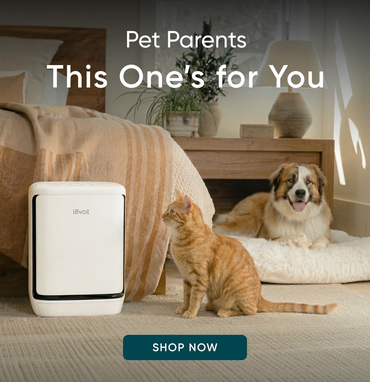 Pet parents. This one's for you