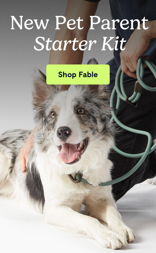 New Pet Parent Starter Kit