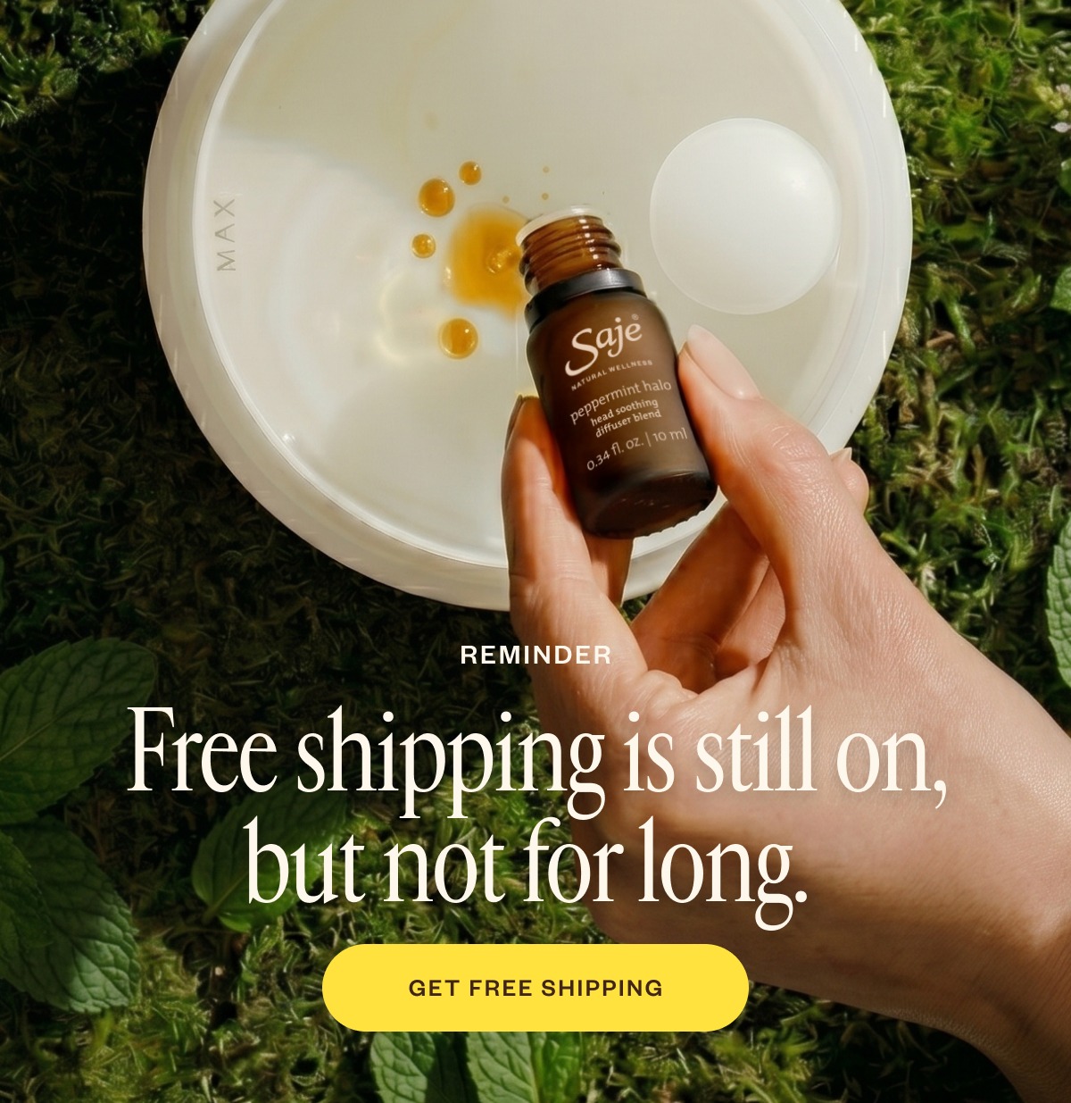 Free shipping is still on, but not for long.
