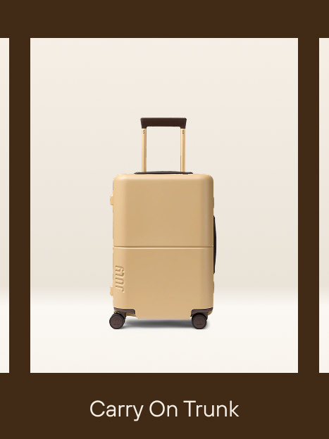 Carry On Trunk