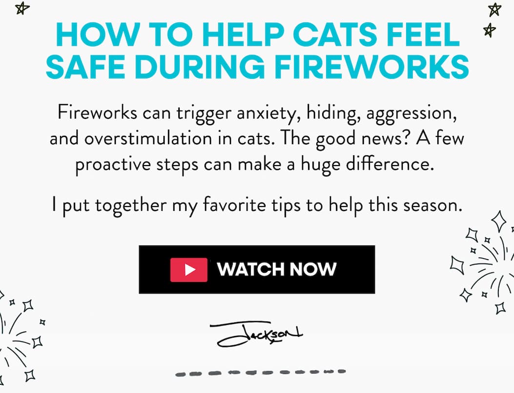 How To Help Cats Feel Safe During Fireworks