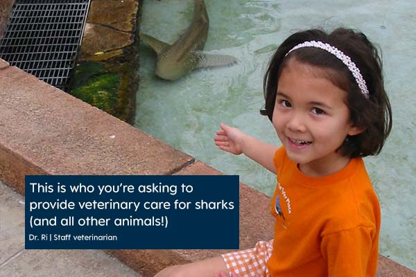 A child wearing an orange shirt points at a shark behind them in the water. Text on image reads This is who you’re asking to provide veterinary care for sharks and all other animals Dr. Ri staff veterinarian