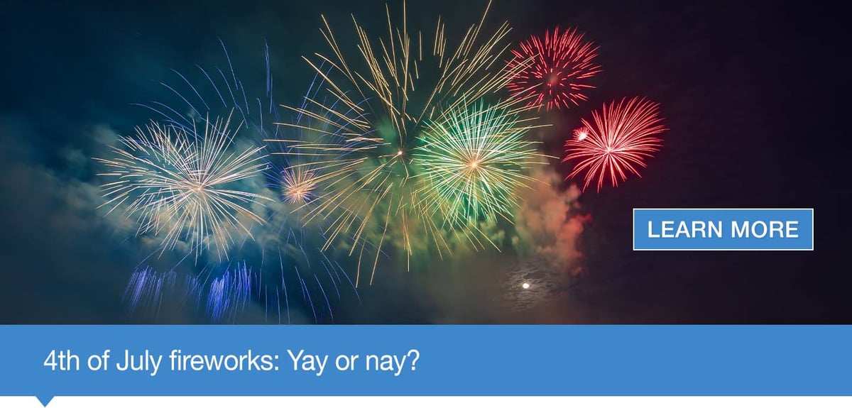 EN-EMU_Fireworks