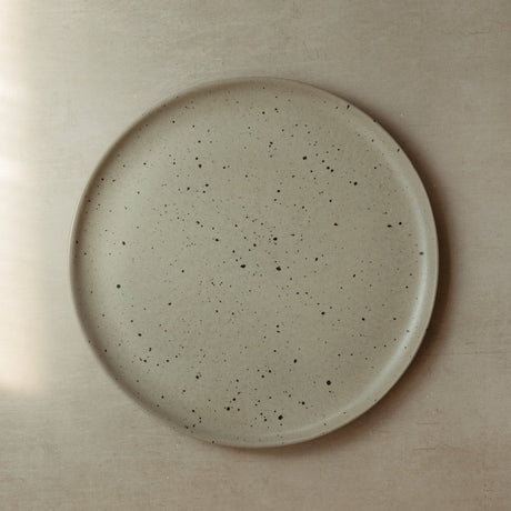 Canyon Dinner Plates, Set of 4