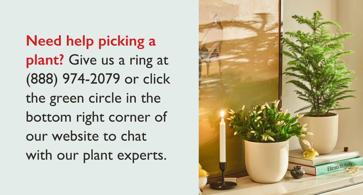 Need help picking a plant? Contact us! Call (888) 974-2079. 