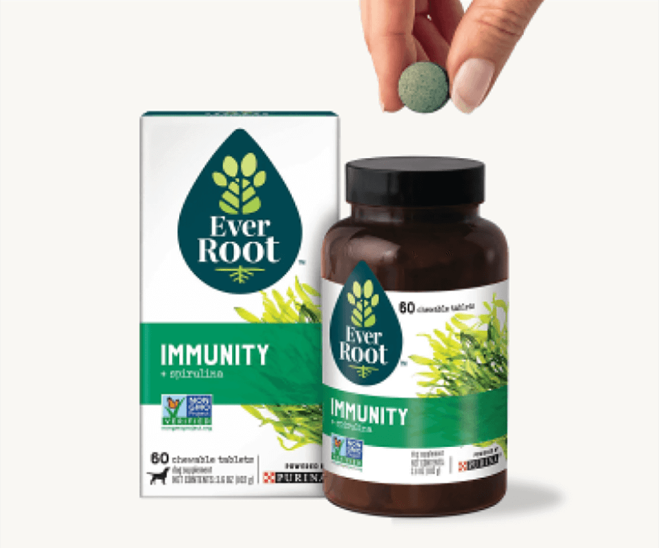 Immunity Supplement Image