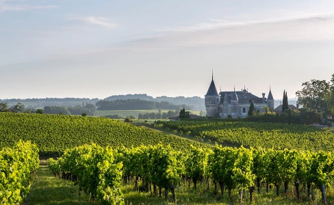 Chateau Vineyards Landscape Bourg