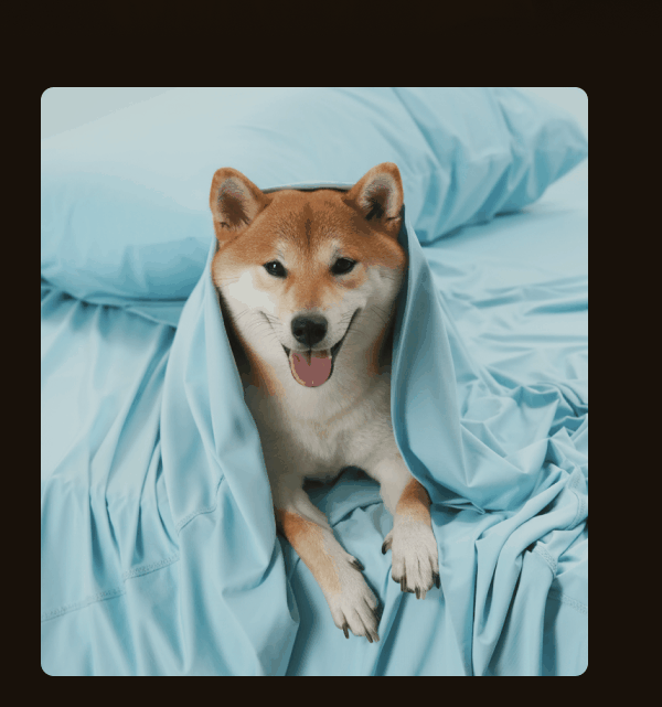 ⭐️⭐️⭐️⭐️⭐️ My kids are actually excited to go to bed because of Rest! — Kristi B., verified buyer | ⭐️⭐️⭐️⭐️⭐️ My kids think it's magic. — Susan F., verified buyer | ⭐️⭐️⭐️⭐️⭐️ "My dog kept trying to steal mine, so I got him his own to put in his crate. | He loves it." — Julie M., verified buyer | ⭐️⭐️⭐️⭐️⭐️ "My cat Rusty started making biscuits as soon as he went on the bed." — Heather D., verified buyer