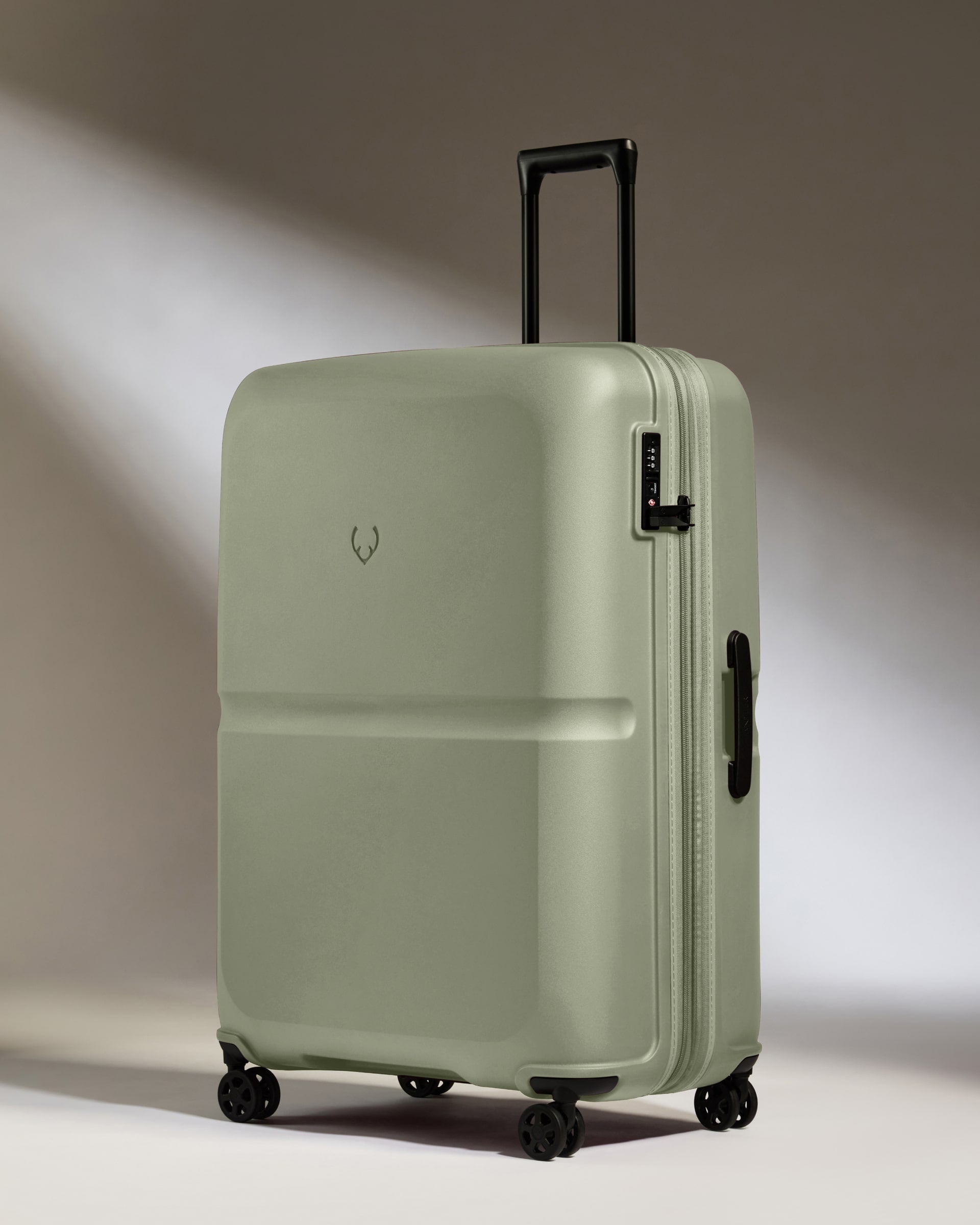 Image of Large Luggage in Clover Green - Single Stripe
