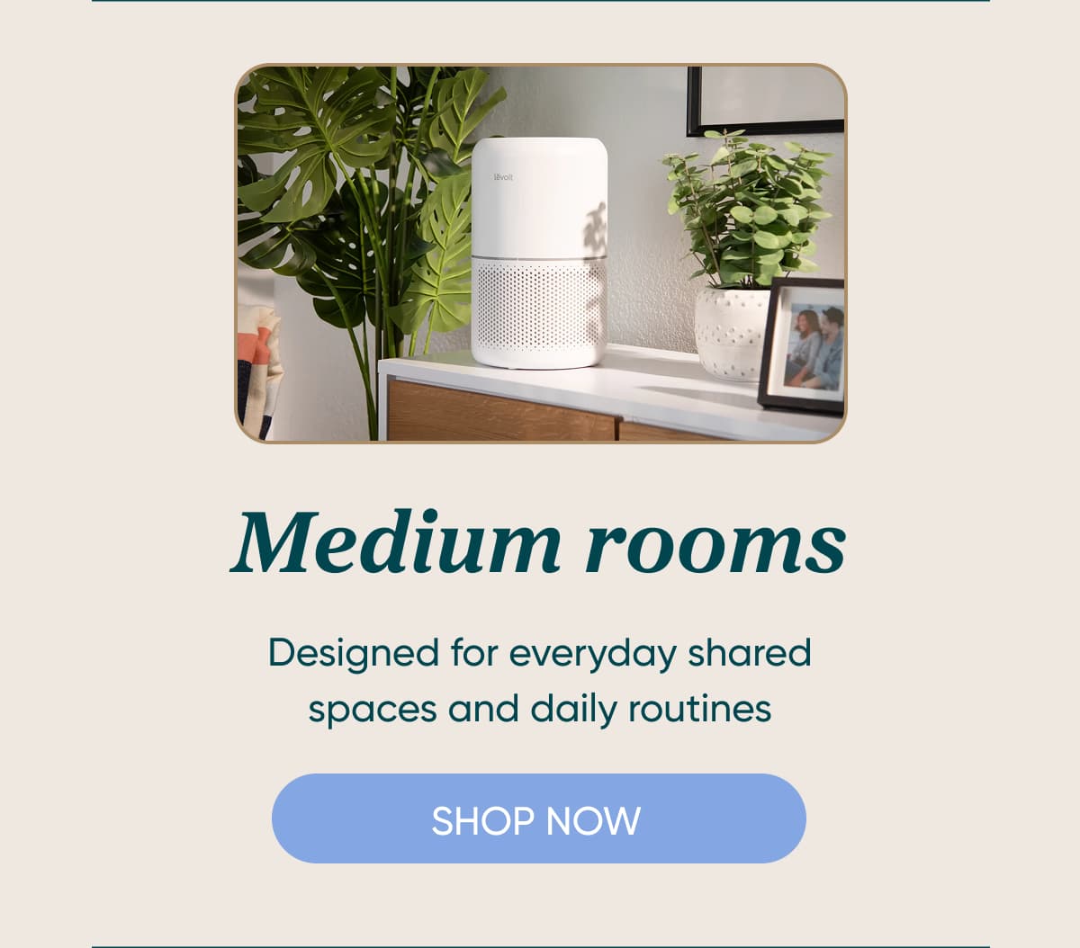 Medium rooms  Designed for everyday shared spaces and daily routines