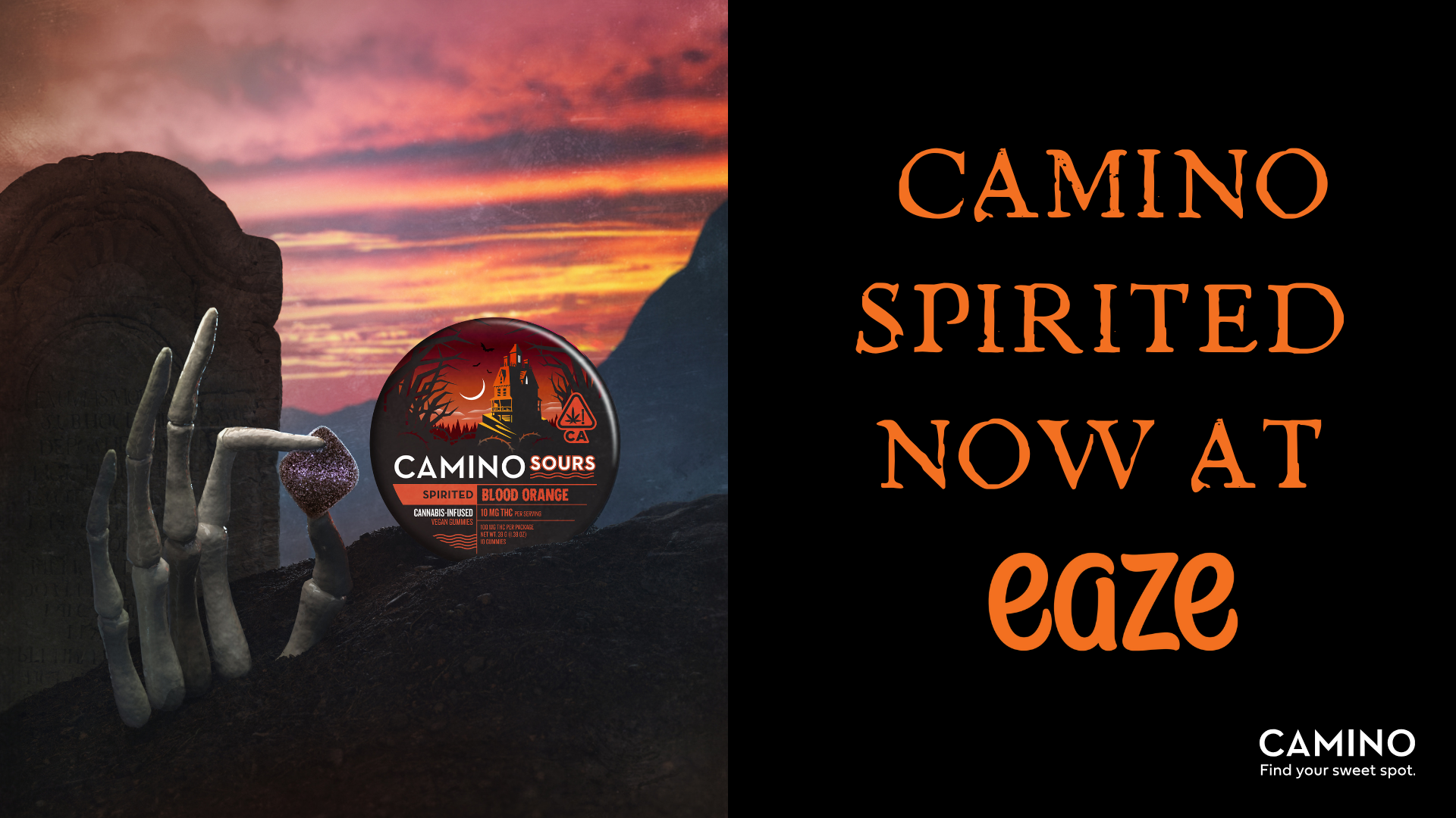 Camino Spirited