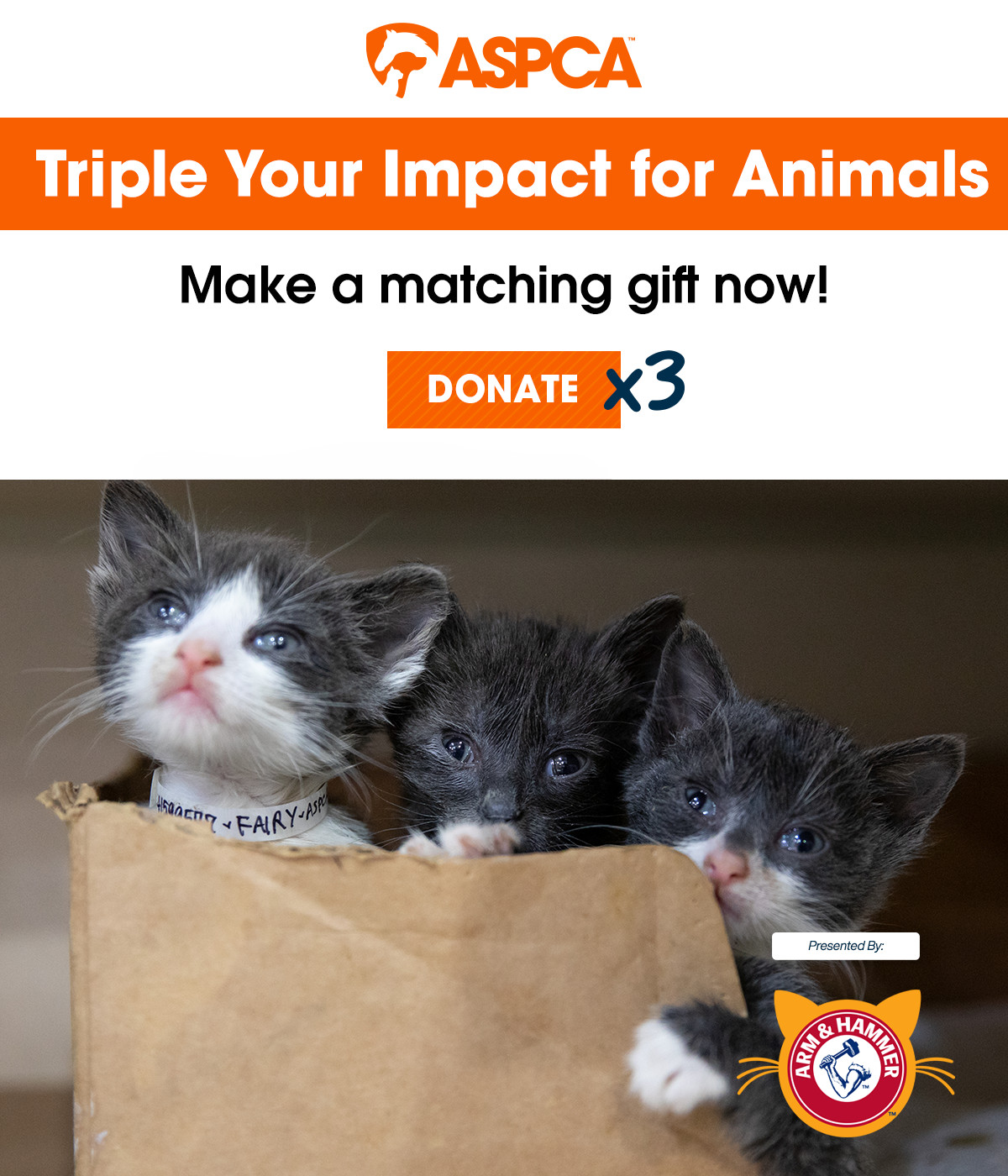 Triple Your Impact for Animals. Make a matching gift now! Donate x3