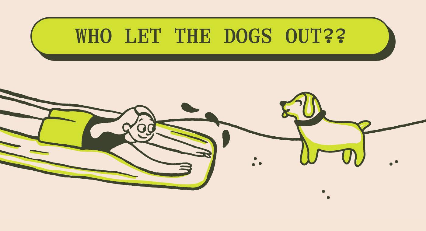 WHO LET THE DOGS OUT??