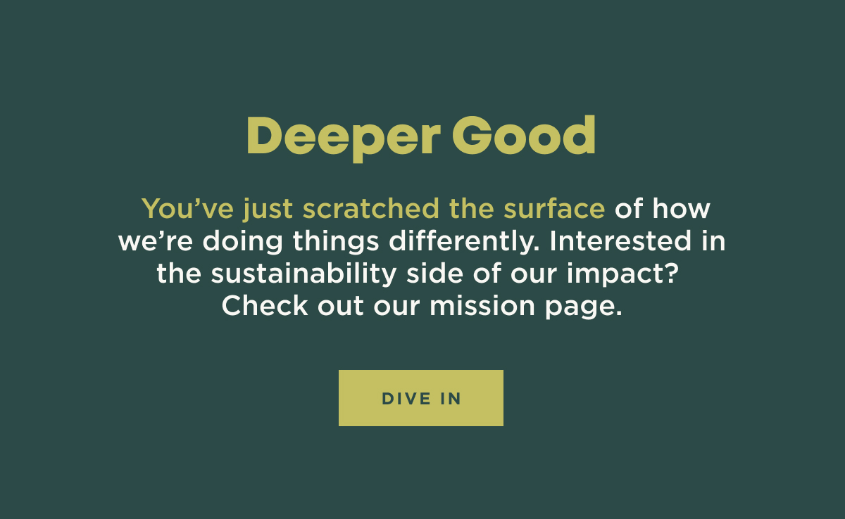 Dive In
