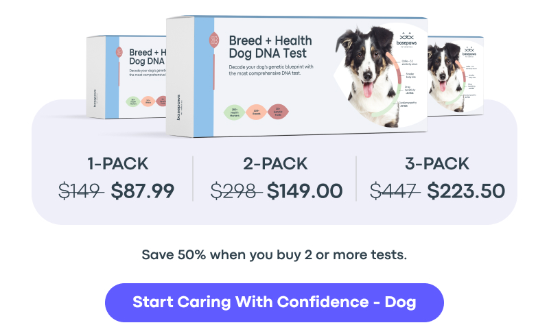 Start Caring With Confidence - Dog