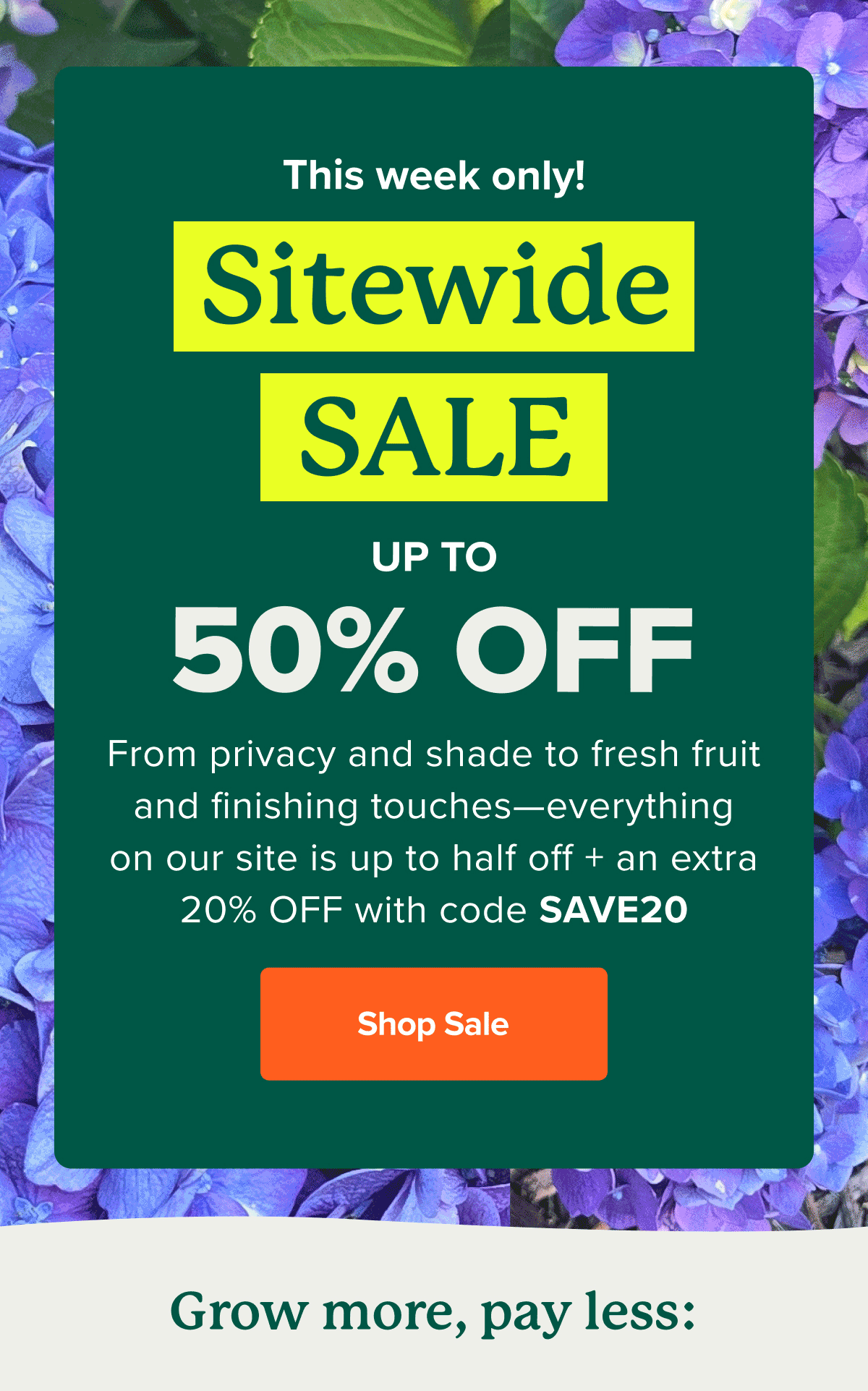This week only! Sitewide SALE up to 50%. From privacy and shade to fresh fruit and finishing touches—everything on our site is up to half off + an extra 20% OFF with code SAVE20. Grow more, pay less. SHOP SALE>>