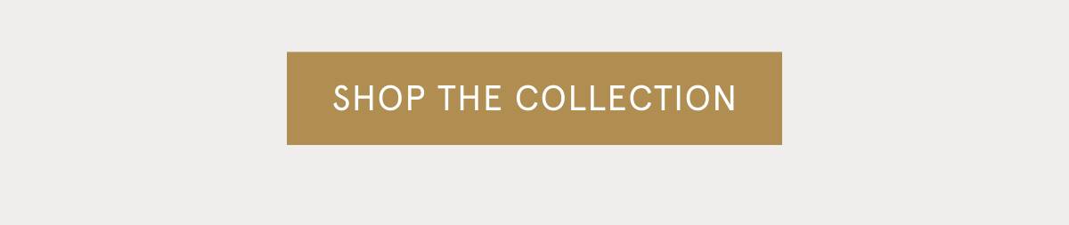 Shop teddy collection