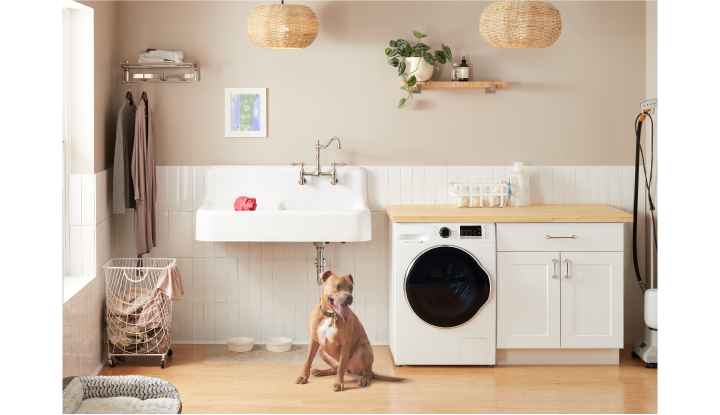 laundry room - Felicity Wall-Mount Kitchen Faucet with Side Spray - Chrome, Bodwell Brass Shelf Bracket - Brushed Nickel, Cast Iron Wall-Hung Kitchen Sink With Drainboard