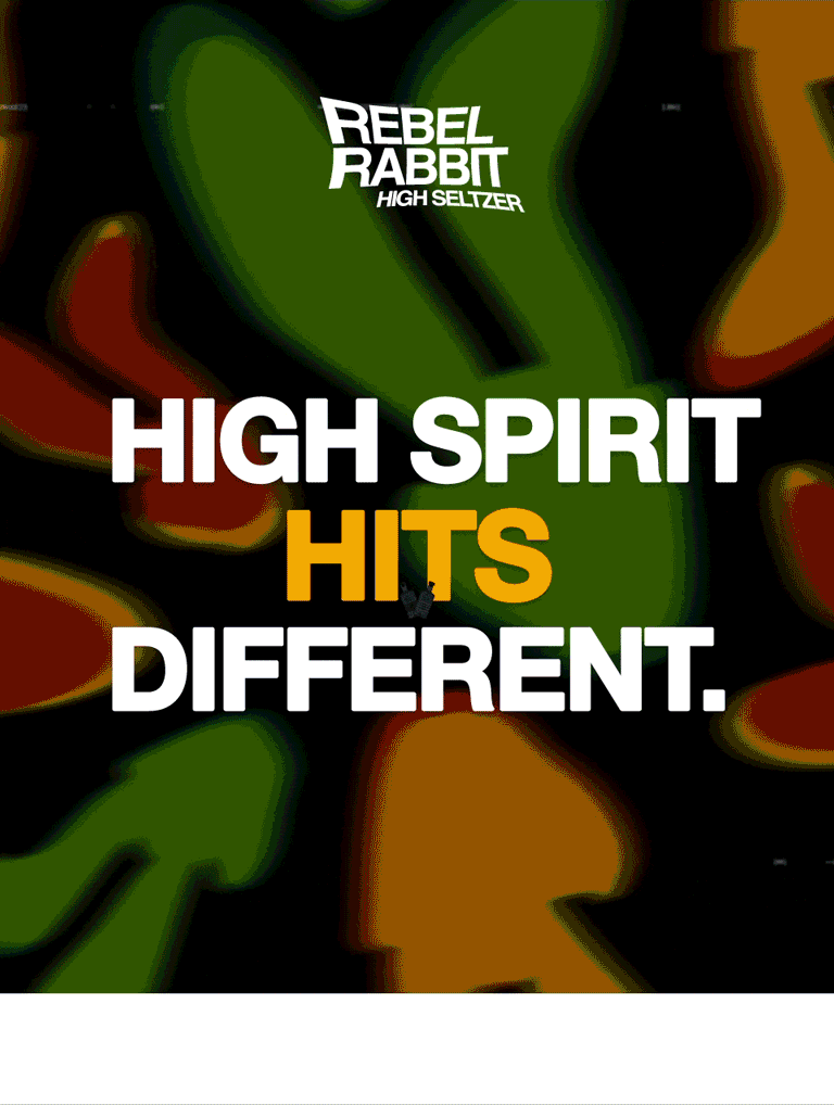 Rebel Rabbit: High Spirit Hits Different