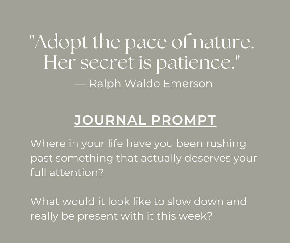 quote and journal prompt for Ligthness Returns theme