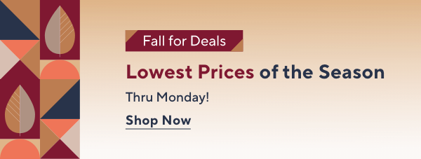 Daily Deals