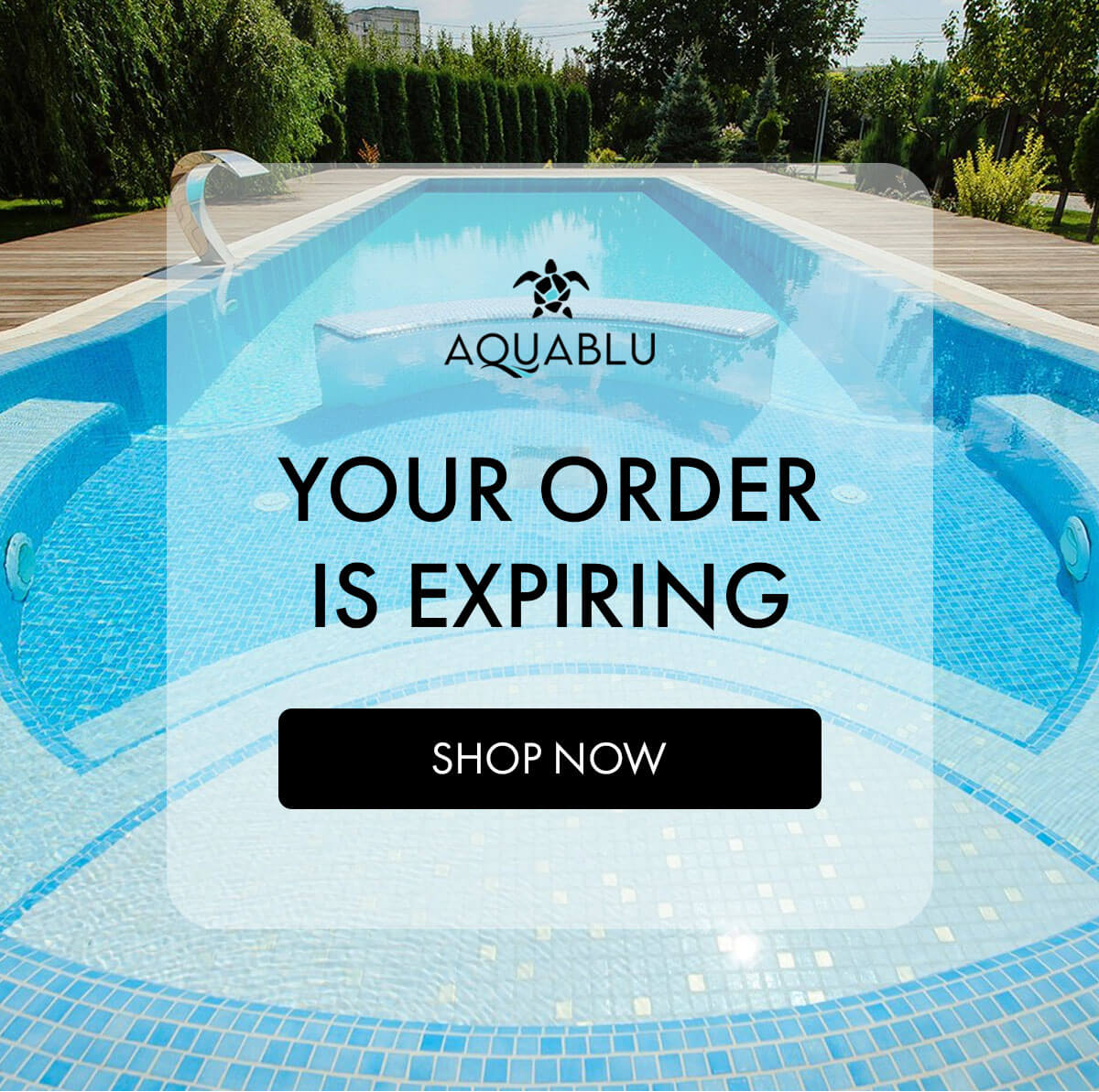 YOUR ORDER IS EXPIRING