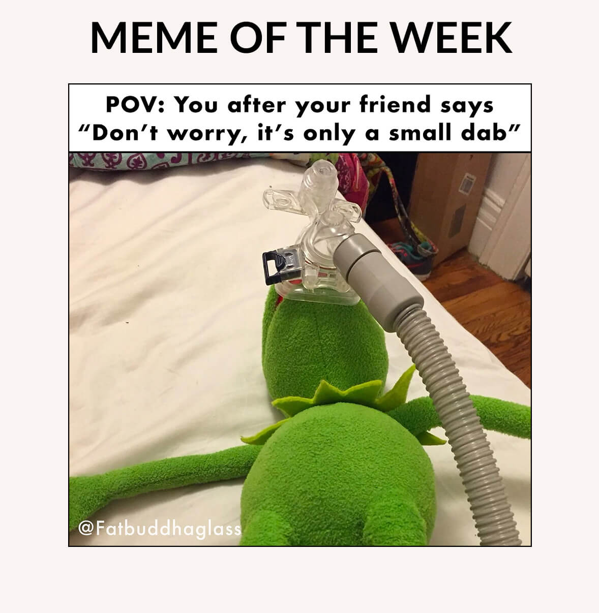 Meme of the Week