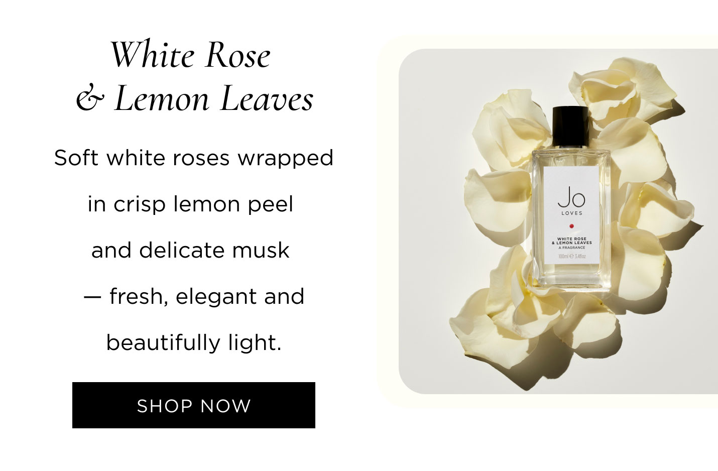 White Rose & Lemon Leaves Soft white roses wrapped in crisp lemon peel and delicate musk — fresh, elegant and beautifully light.