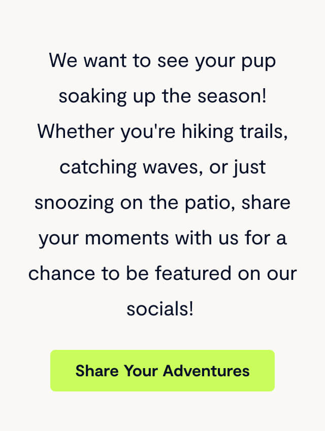 We want to see your pup soaking up the season! Whether you're hiking trails, catching waves, or just snoozing on the patio, share your moments with us for a chance to be featured on our socials!&nbsp;