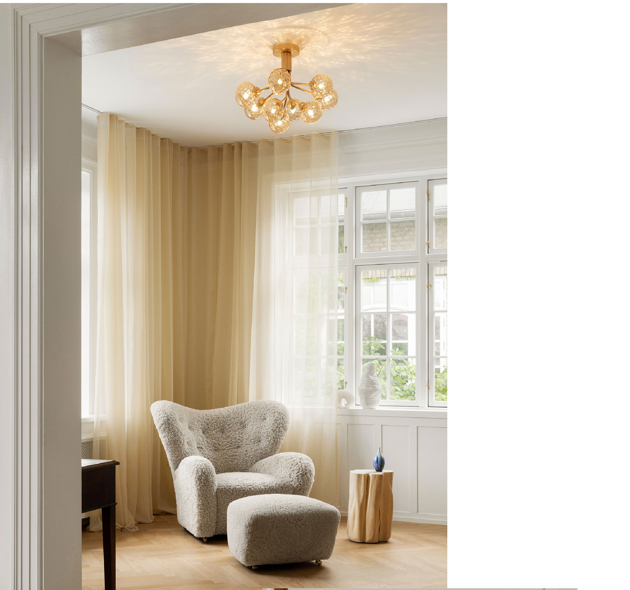 Apiales Ceiling Light